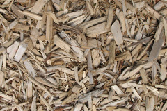 biomass boilers Denmead